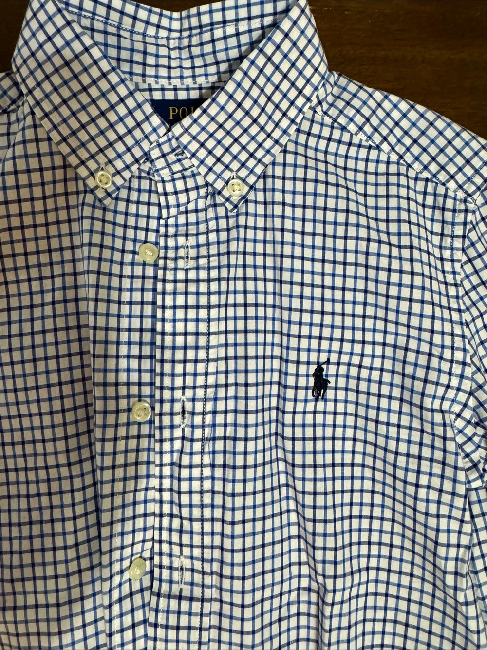 Ralph Lauren White and Blue Check Button-Down Shirt